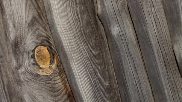 Old Fence Made Pine Boards Wooden Boards Old Pine Boards — Stockvideo