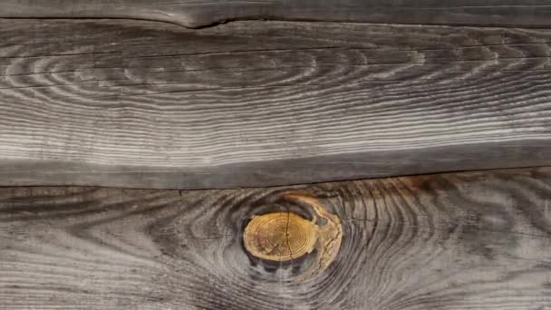 Old Fence Made Pine Boards Wooden Boards Old Pine Boards — Wideo stockowe