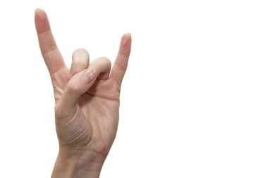 Female hand on white background shows a goat