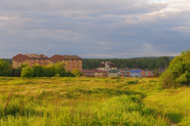 Rural architecture. Private houses in the Ukrainian village. Rural landscape. Cloudy sky and green meadow.