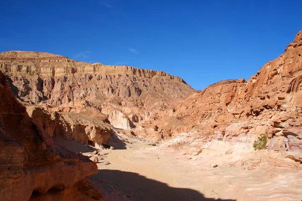 Egypt, Sinai Peninsula. Landscape in the color canyon. Red rocks and blue sky. Big rocky mountains. Egipedes landscape. Protected zone.