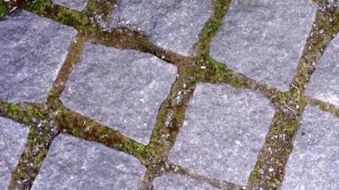 Old bricklaying close up. Granite texture. Old paving stones. Paving tiles.