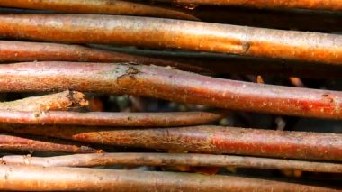 Wooden fence. Wicker fence. Intertwined branches. Weaving from branches. Wooden vine