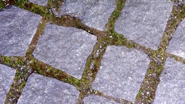 Old Bricklaying Close Granite Texture Old Paving Stones Paving Tiles — Video Stock