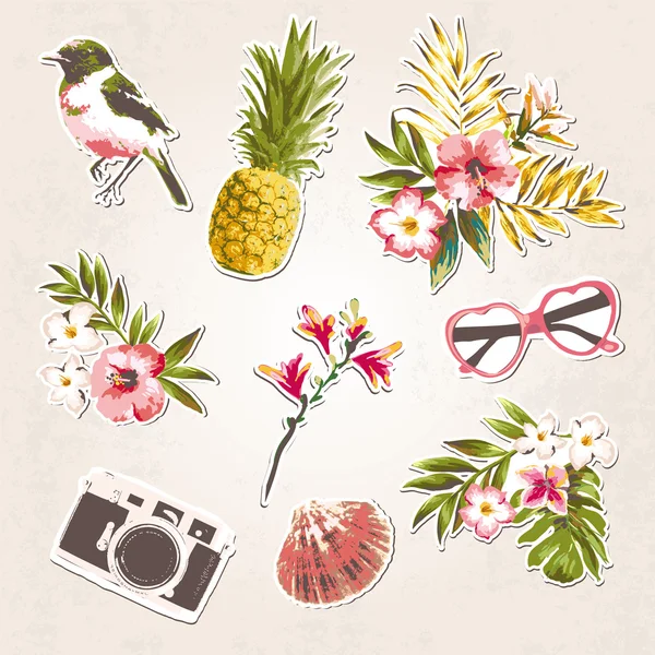 Vintage věci set ptáci, tropické květiny, shell, sungl zadky, kamery na pozadí grunge — Stockový vektor