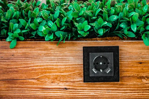 Una Roseta Negra Panel Madera Detrás Del Cual Las Plantas — Foto de Stock