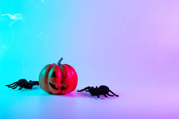 Halloween spider. Scary spooky pumpkin, black night spider on night neon helloween background. Happy Halloween concept. Frame. Copy space