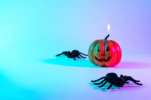 万圣节装饰 令人生畏的南瓜 漆黑的夜蜘蛛在背景间盘旋 秋季假期的简约背景 案文的篇幅 — 图库照片