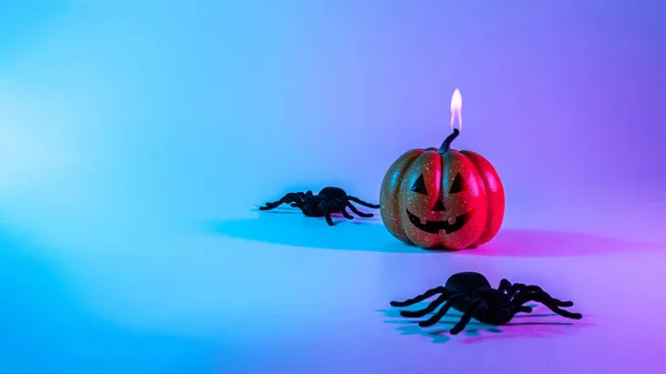 Happy halloween. Black night spider, scary spooky pumpkin on night neon helloween background. Happy Halloween concept. Frame. Copy space