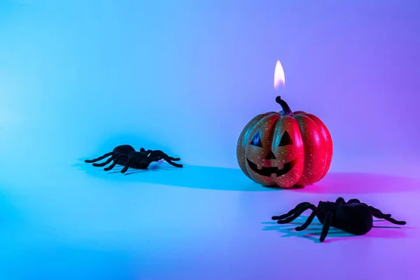 万圣节派对黑色的夜蜘蛛 可怕的可怕的南瓜在夜间霓虹灯之间的背景 万圣节快乐的概念 复制空间 — 图库照片