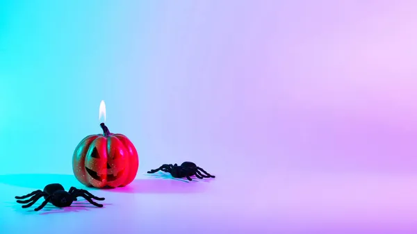 Happy halloween. Black night spider, scary spooky pumpkin on night neon helloween background. Happy Halloween concept. Frame. Copy space.