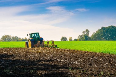 Traktör yeşili. Manzara arazisindeki tarım çiftliği makineleri. Ekin için tarım makinesi ekipmanları. Soya fasulyesi biçme konsepti