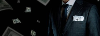 Bir dolarlık banknot. İş adamı, Washington Amerikan nakitini tutuyor. Kullanıcı parası düşen afiş