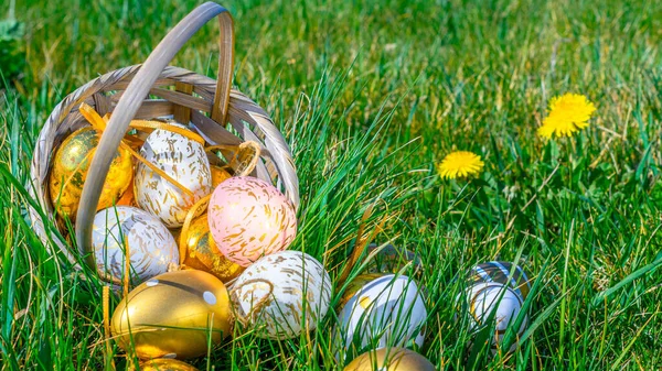 Wielkanocny Królik Złote Jajko Żółtymi Wiosennymi Kwiatami Koszu Zielonym Tle — Zdjęcie stockowe