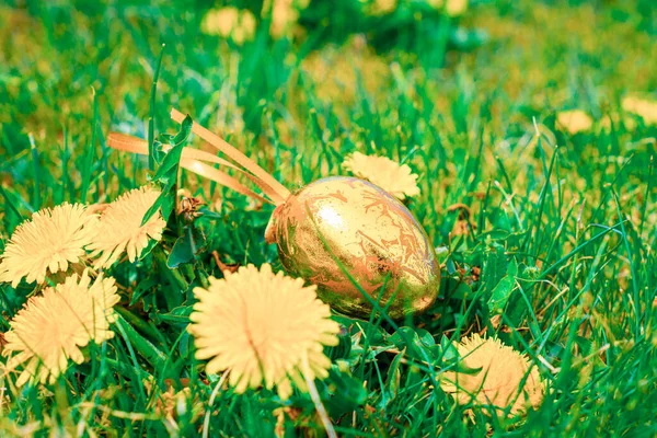 Polowanie Pisanki Złote Jajko Żółtymi Wiosennymi Kwiatami Koszu Zielonym Tle — Zdjęcie stockowe