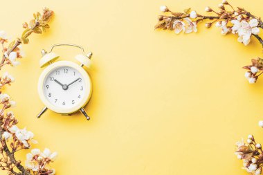 Sakura çiçekleri ve sarı alarmlı çiçekleri. Sancak olarak, arka planda çiçek açan kiraz dalları. Rüya gibi romantik bir görüntü, manzara manzarası, kopyalama alanı