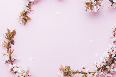 Sakura çiçekleri ve pembe arka planda çiçekleri. Sancak olarak, arka planda çiçek açan kiraz dalları. Rüya gibi romantik bir görüntü, manzara manzarası, kopyalama alanı