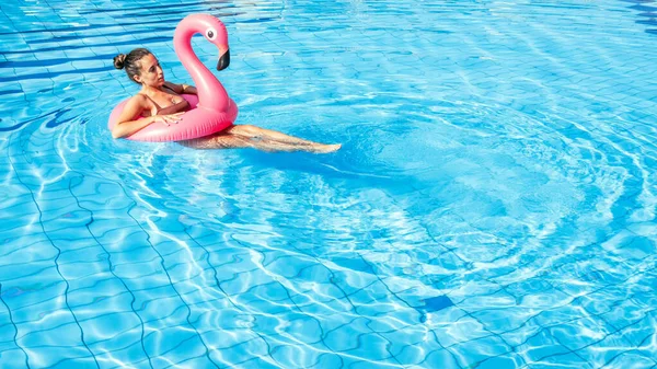 Летний Бассейн Отдыха Молодая Сексуальная Женщина Купальнике Розовым Фламинго Голубой — стоковое фото