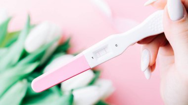Hamilelik testi pozitif. Kadın eli, lalelerin pembe arka planında ipek kurdeleyle pozitif hamilelik testi yapıyor. Tıbbi sağlık, jinekoloji, gebelik, doğurganlık, doğum ve doğum insanları kavramı