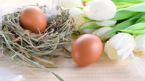 Warna Telur Paskah Dalam Keranjang Dengan Tulip Musim Semi Bulu — Stok Video