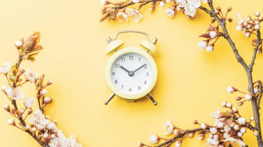 Bahar zamanı geçmişi. Bahar sınırı, çiçek ve sarı alarmlı Nisan çiçekleri. Yumuşak odaklı, çiçek açan kayısı makrosu dalları. Paskalya ve bahar tebrik kartları, boşluğu kopyalayın