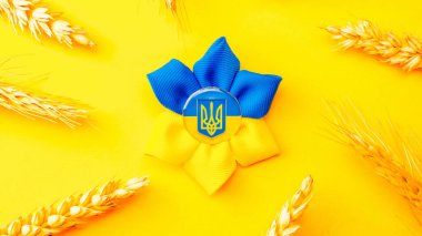 Sarı buğday kulaklı Ukrayna çiçek mızrağı sembolü. Sarı mavi afiş arkaplan, düz yatay, kopyalama alanı