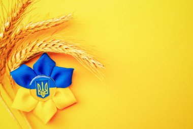 Sarı mavi arka plan. Sarı pankartta izole edilmiş buğday tanecikli Ukrayna çiçek mızrağı sembolü. Ukrayna kavramını destekle