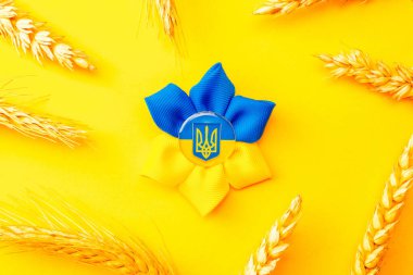 Ukrayna bayrak sembolü arka plan. Sarı pankartta izole edilmiş buğday tanecikli Ukrayna çiçek mızrağı sembolü. Ukrayna kavramını destekle