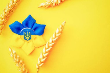 Ukrayna 'nın sarı arka planı. Sarı buğday kulaklı Ukrayna çiçek mızrağı sembolü. Dayanışma Ukrayna kavramı