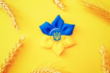 Sarı buğday kulaklı Ukrayna çiçek mızrağı sembolü. Sarı mavi afiş arkaplan, düz yatay, kopyalama alanı