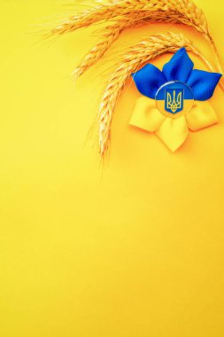 Ukrayna bayrak sembolü arka plan. Sarı pankartta izole edilmiş buğday tanecikli Ukrayna çiçek mızrağı sembolü. Ukrayna kavramını destekle