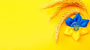 Ukrayna geçmişi. Sarı pankartta izole edilmiş buğday tanecikli Ukrayna çiçek mızrağı sembolü. Düz yat, boşluğu kopyala