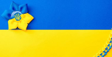 Sarı mavi arka plan. Sarı mavi bayrak üzerinde izole edilmiş Ukrayna çiçek mızrağı sembolü. Ukrayna kavramını destekle