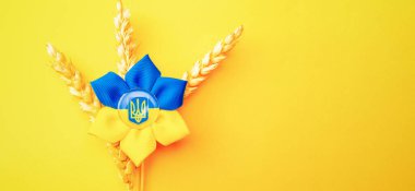 Sarı mavi arka plan. Sarı pankartta izole edilmiş buğday tanecikli Ukrayna çiçek mızrağı sembolü. Ukrayna kavramını destekle