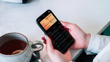 Mobil bankacılık uygulaması. İnternet banka uygulamalı cep telefonu olan bir kız. Kredi kartı cüzdanı başvurusu. Para biriktir iş cüzdanı