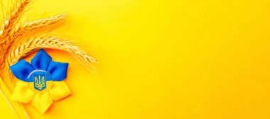 Ukrayna geçmişi. Sarı pankartta izole edilmiş buğday tanecikli Ukrayna çiçek mızrağı sembolü. Düz yat, boşluğu kopyala