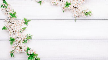 Nisan çiçekleri. Mayıs ayının bahar çiçekleri tahtada. Arka planda çiçek açan kiraz dalları. Boşluğu kopyala