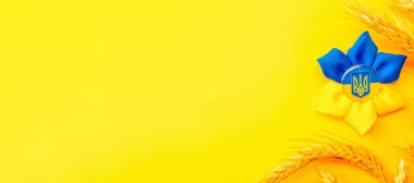 Sarı buğday kulaklı Ukrayna çiçek mızrağı sembolü. Sarı mavi afiş arkaplan, düz yatay, kopyalama alanı