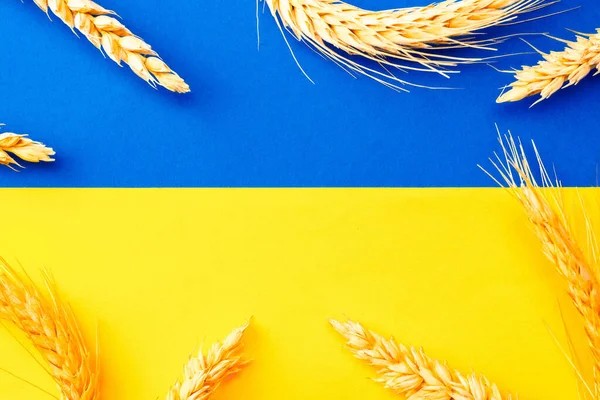 Ukraine Flagge Weizen Getreide Hintergrund. Ukrainisches Symbol mit Weizenähre auf gelb-blauem Fahnenbanner. Ukraine-Konzept unterstützen. — Stockfoto