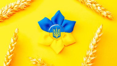Sarı mavi arka plan. Sarı pankartta izole edilmiş buğday tanecikli Ukrayna çiçek mızrağı sembolü. Ukrayna kavramını destekle.