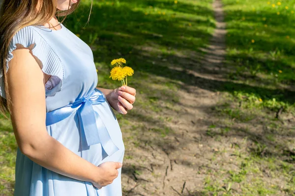 Sağlıklı Hamile Kadın Yaz Parkında Mutlu Annelik Anneleri Bebek Göbeği — Stok fotoğraf