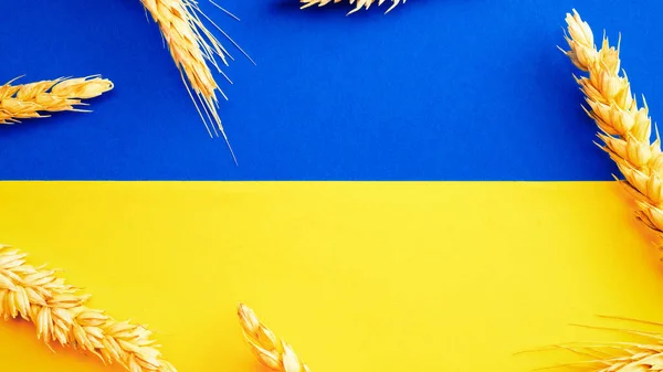 Украинский Символ Зерна Желтой Пшеницы Украинский Символ Колосом Пшеницы Изолирован — стоковое фото