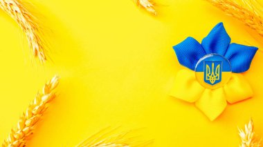 Ukrayna 'nın sarı arka planı. Sarı buğday kulaklı Ukrayna çiçek mızrağı sembolü. Dayanışma Ukrayna kavramı