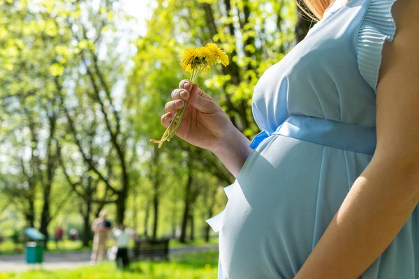 Těhotenství Příroda Žena Chůze Šťastná Matka Letním Parku Dětské Břicho — Stock fotografie