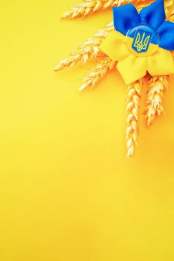 Ukrayna geçmişi. Sarı pankartta izole edilmiş buğday tanecikli Ukrayna çiçek mızrağı sembolü. Düz yat, boşluğu kopyala