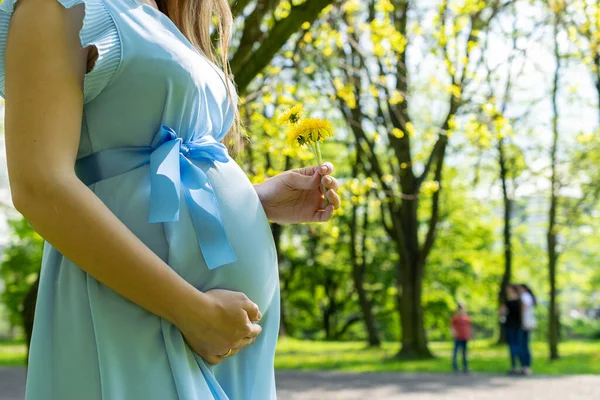 Donne Incinte Camminano Passeggiata Nella Natura Incinta Felice Maternità Madre — Foto Stock