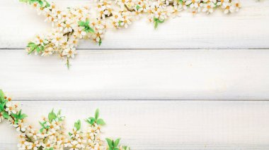 Bahar çiçekleri açsın. Nisan ayının çiçek açan ağacı ahşap arka planda. Paskalya güneşli bir gün. Meyve bahçesi arkaplanı bulanık. İlkbahar