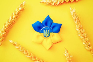 Mavi sarı arka plan. Sarı buğday kulaklı Ukrayna çiçek mızrağı sembolü. Ukrayna Konseptini Sev