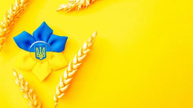 Ukrayna geçmişi. Sarı pankartta izole edilmiş buğday tanecikli Ukrayna çiçek mızrağı sembolü. Düz yat, boşluğu kopyala