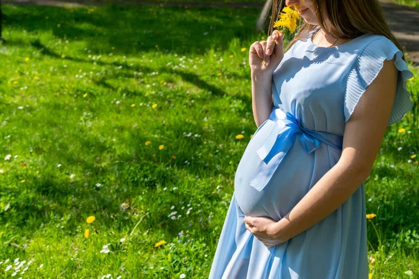 Těhotná Žena Chodí Těhotná Procházka Přírodou Šťastná Matka Letním Parku — Stock fotografie